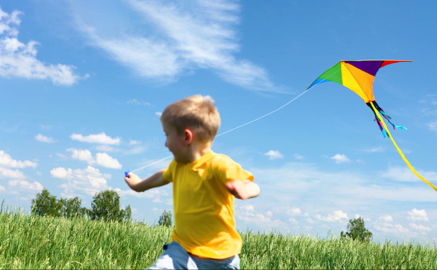 Plum Design & Advertising Ltd