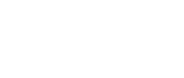 wernick group logo